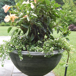 Drip Irrigation - Outdoor Products