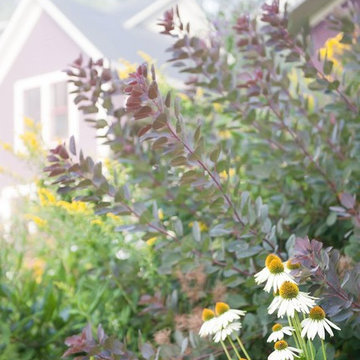 A Terraced Garden in Vermont