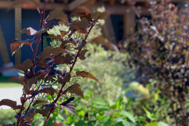 Inspiration for a modern landscaping in Vancouver.