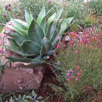 Colorful Watershed Front Landscape