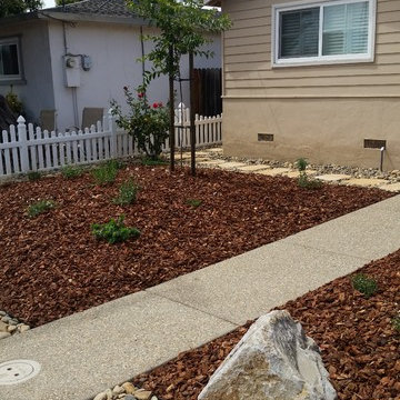 Drought Tolerant