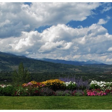 Perennial border with a view
