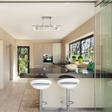 Aquarius Adjustable Glass & Metal Pendant, Halogen, Brushed Steel With Clear