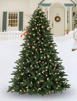 Balsam Hill Allegheny Evergreen Outdoor Artificial Christmas Tree