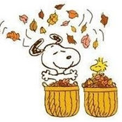 Bonnie Whitmer's photo
