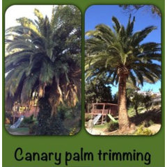Higueras Tree Service