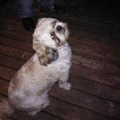 Jaclyn Polley's photo