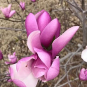 Brandy Kornmaier's photo