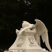 Tim McGuckin's photo