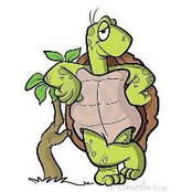 Matt Turtle's photo