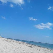 Regis Michel's photo