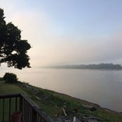 Diane Floyd's photo