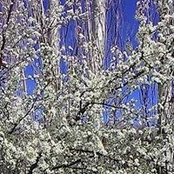 Anna Hovsepyan's photo