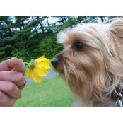 Ruth Dauphinee-Foley's photo