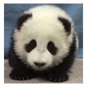 Janie Foo's photo