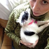 Jimand Kopp's photo
