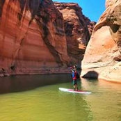 Laine Terrey's photo