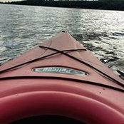 Karin Nolan's photo