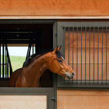 Horses Stabler