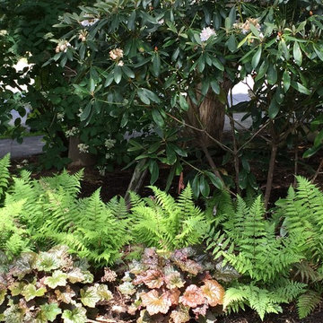 border planting