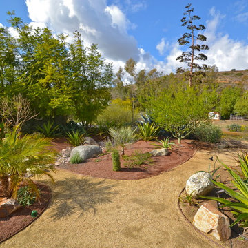 Poway-92064-Low Maintenance Desertscape
