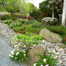 landscape around house