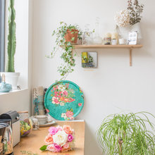 Garden & Plants