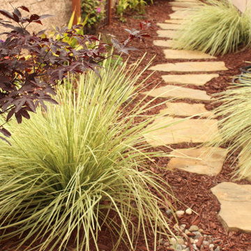 Arresting Dunes - Coastal Gem Garden