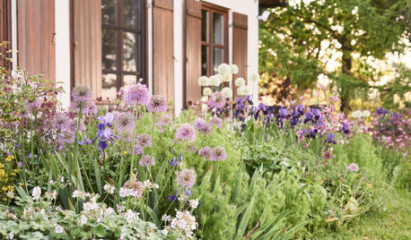 Grüner Daumen zu vermieten! So helfen Ihnen Garten-Experten