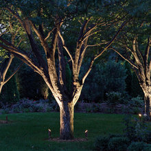 Landscape, outdoor lighting