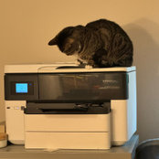 Patricia Carlin's photo