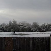 Jen Anderson's photo