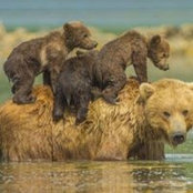 Jessica Gilbert's photo
