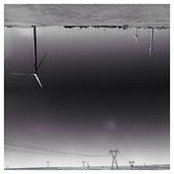 Alexandra Wollins's photo