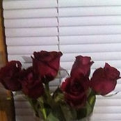 Essie Hope's photo
