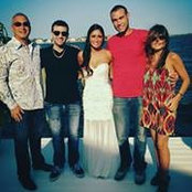 Andrew Brenner's photo