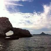 Lula Pavlovich's photo