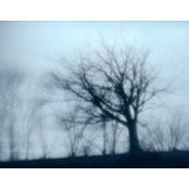 Kendrick Liu's photo