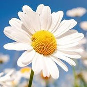 Anna Bennett's photo