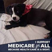 Lara Marshall's photo