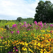 Jenny Menning's photo