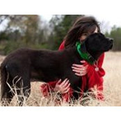 Becky Recer's photo