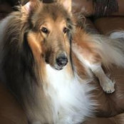 Debbie Bowles's photo