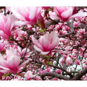 Damaris Garay's photo