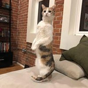 Lauren Davis's photo