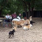 Erika Forde's photo