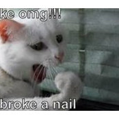 Ginger Griffith's photo