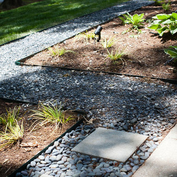 Modern and dog-friendly landscape