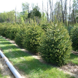 NYS Farms - Products