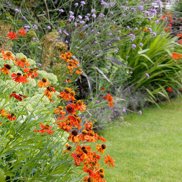 Brockley Front Garden